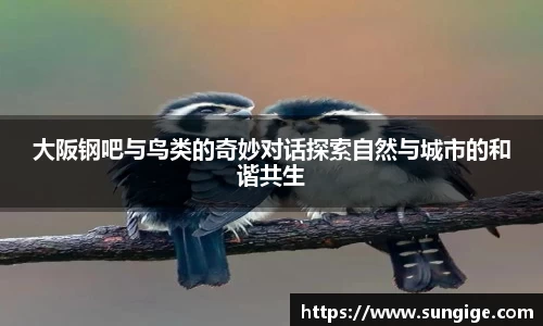 大阪钢吧与鸟类的奇妙对话探索自然与城市的和谐共生