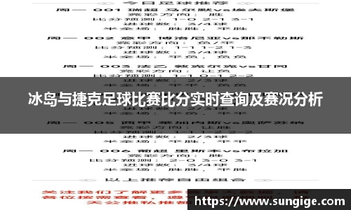 冰岛与捷克足球比赛比分实时查询及赛况分析