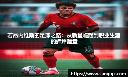 BB贝博登录入口