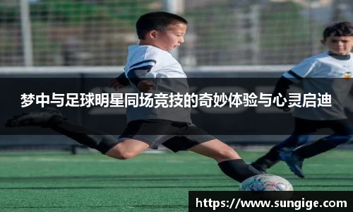 BB贝博艾佛森