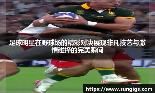 BB贝博登录入口
