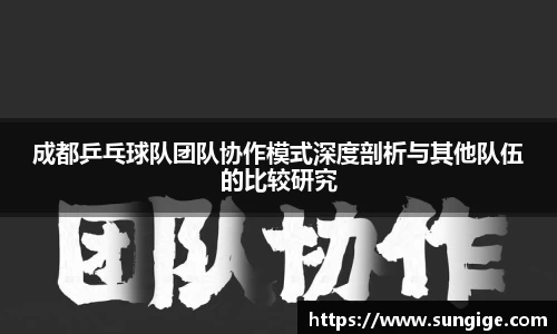 成都乒乓球队团队协作模式深度剖析与其他队伍的比较研究