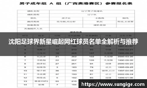 沈阳足球界新星崛起网红球员名单全解析与推荐