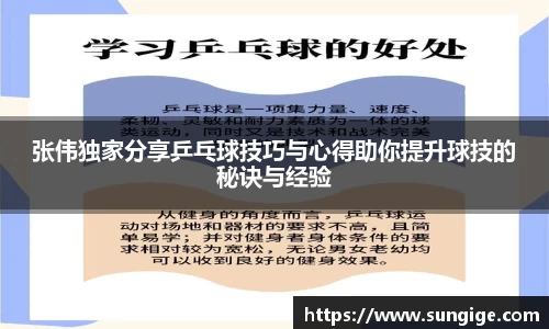 张伟独家分享乒乓球技巧与心得助你提升球技的秘诀与经验
