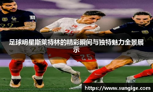 BB贝博登录入口