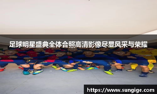 BB贝博登录入口